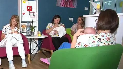 Spada liczba adopcji w Polsce