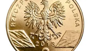 Dwu-złotówka z żubrem