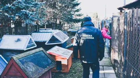 Osadzeni w areszcie będą naprawiać psie budy