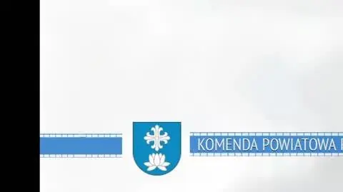 Dwa młode łoszaki błąkały się przy jezdni