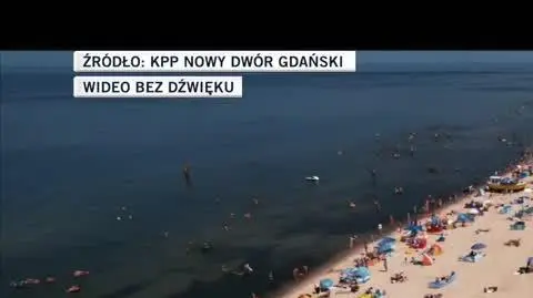 policja 