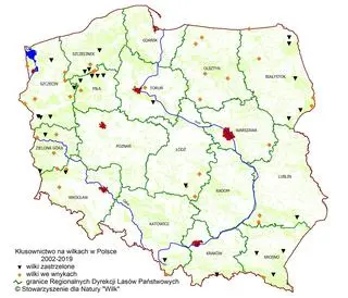 W tych miejscach od 2002 do połowy 2019 roku znajdowane były skłusowane wilki