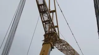 Przyjechał prosto z niemieckiej fabryki