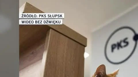 PKS Słupsk