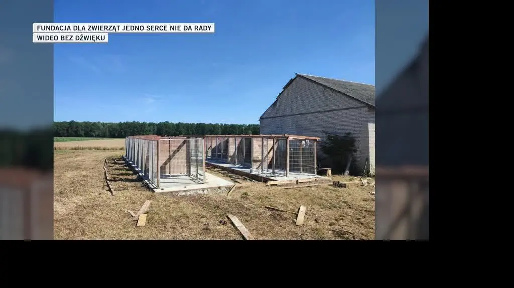 Fundacja dla zwierząt Jedno Serce Nie Da Rady