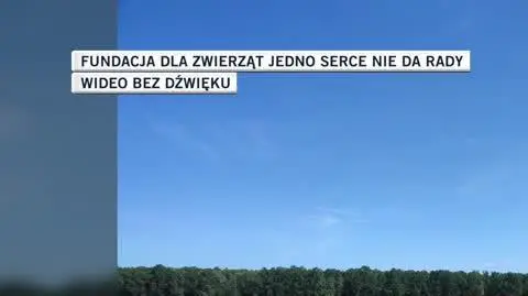 Fundacja dla zwierząt Jedno Serce Nie Da Rady