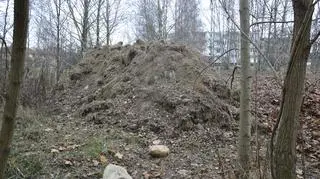 Góra liści na osiedlu