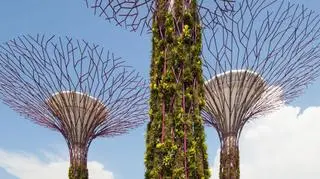 Gardens by the Bay