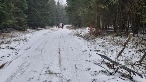 Do wypadku doszło pomiędzy miejscowościami Płonne a Błudowo