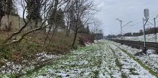 Ciało kobiety znaleziono na obrzeżach Jarosławia (woj. podkarpackie) 