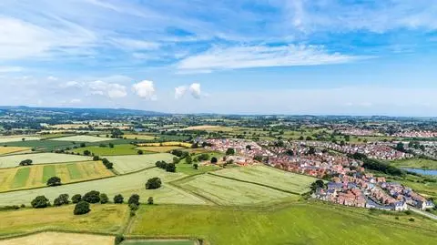 shutterstock_2184450145