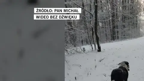 Pan Michał
