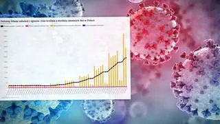 2707 covid dzienny bilans