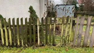 Szczeniak został zaatakowany sztachetą wyrwaną z płotu
