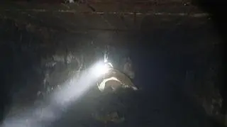 Koń wpadł do szamba. Pomogli strażacy 