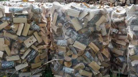 shutterstock_2162191505