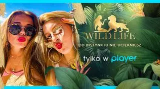 "Wild life" - nowe reality show