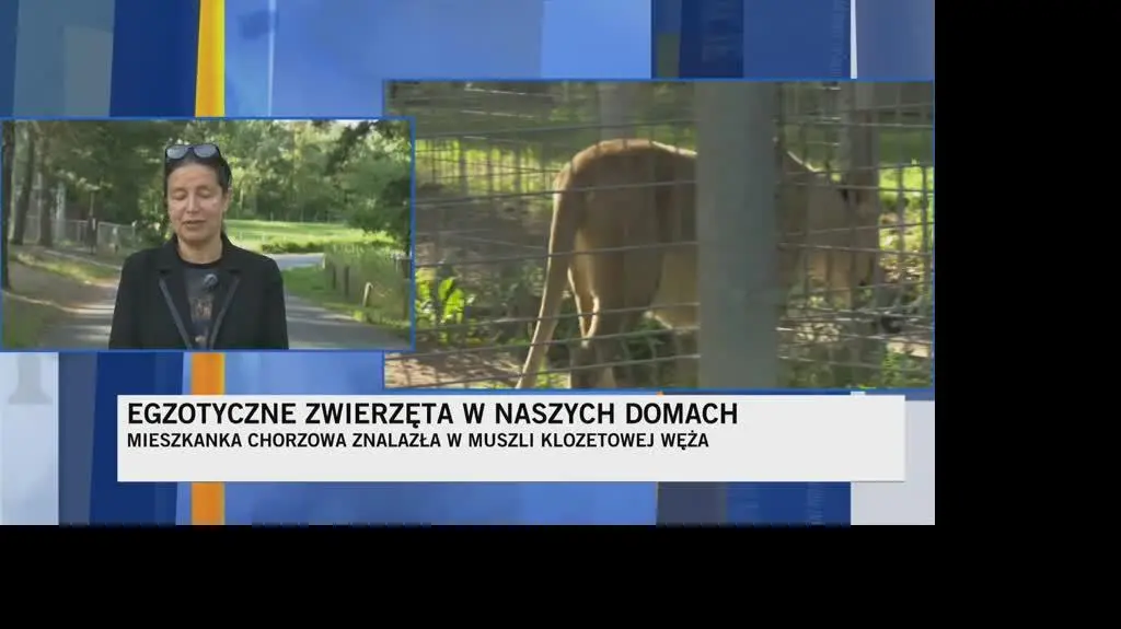 zoo3