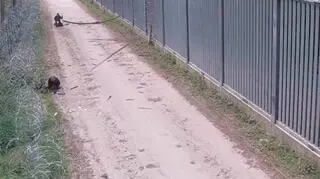 Ataki na granicy