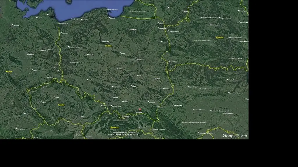Folusz
