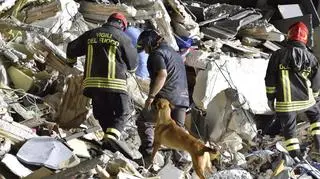 "To był koszmar. Zewsząd było słychać krzyki". Relacja Polki z Amatrice