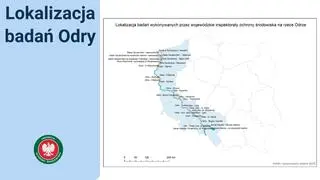Lokalizacja badań Odry (17.08.2022)