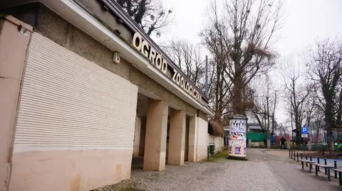 Zoo zamknięte do końca roku. Powód: sytuacja pandemiczna