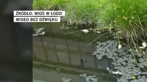 WIOŚ w Łodzi