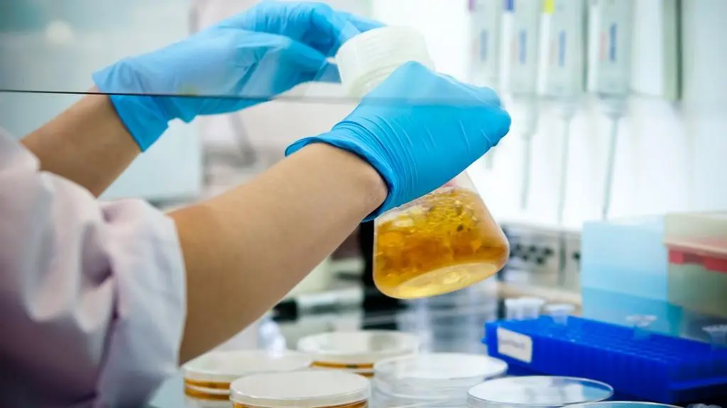 Laboratorium