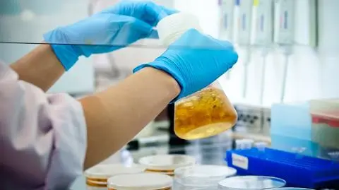 Polska firma będzie produkować szczepionki na COVID-19. Wartość umowy to 1,5 miliarda złotych