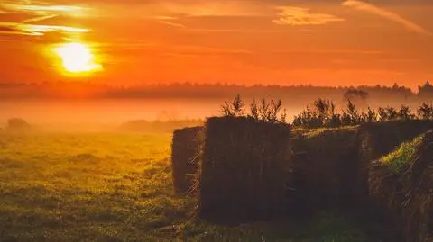 Quiteria wędruje znad Niemiec. Taką pogodę zapewni nam weekend