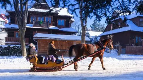 Nowa propozycja w sprawie terminu ferii. "Walczymy o przetrwanie"