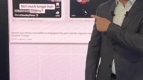 Czy Trump rzeczywiście upadł?