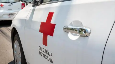 Meksyk walczy z pandemią 