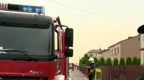 burza bia 2