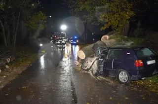 Drzewo spadło na samochód, kierowca w szpitalu