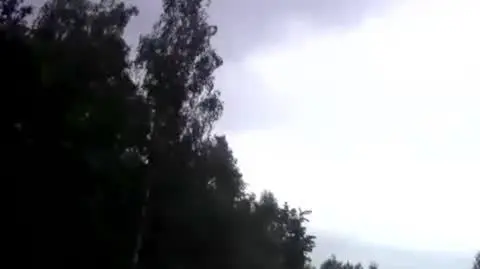 Walec ośmieszył kierowcę