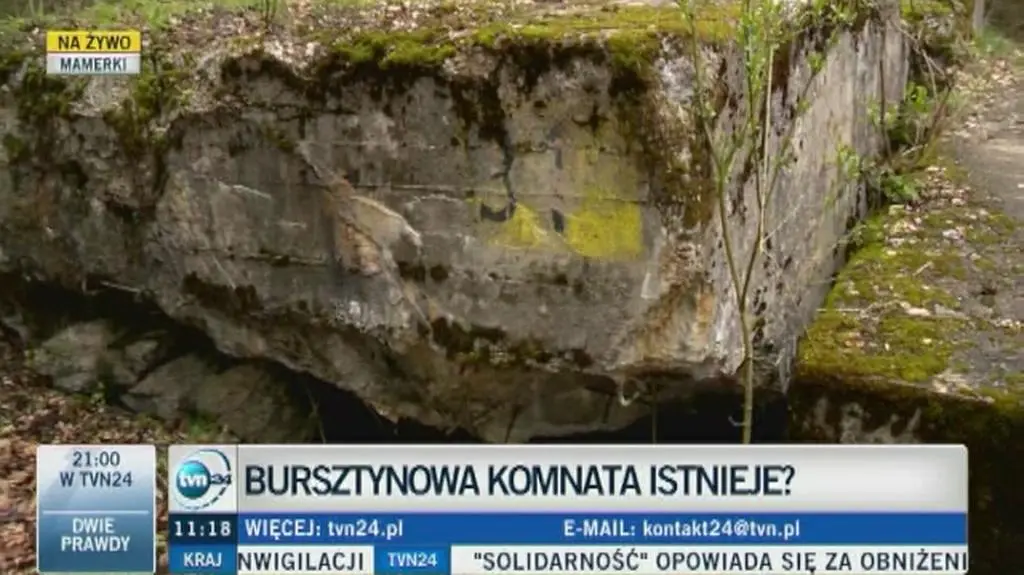 Szukają Bursztynowej Komnaty