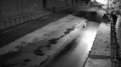 Było płoszenie, chcą odstrzału. "Takimi działaniami tak naprawdę zwiększamy ryzyko powstawania szkód"
