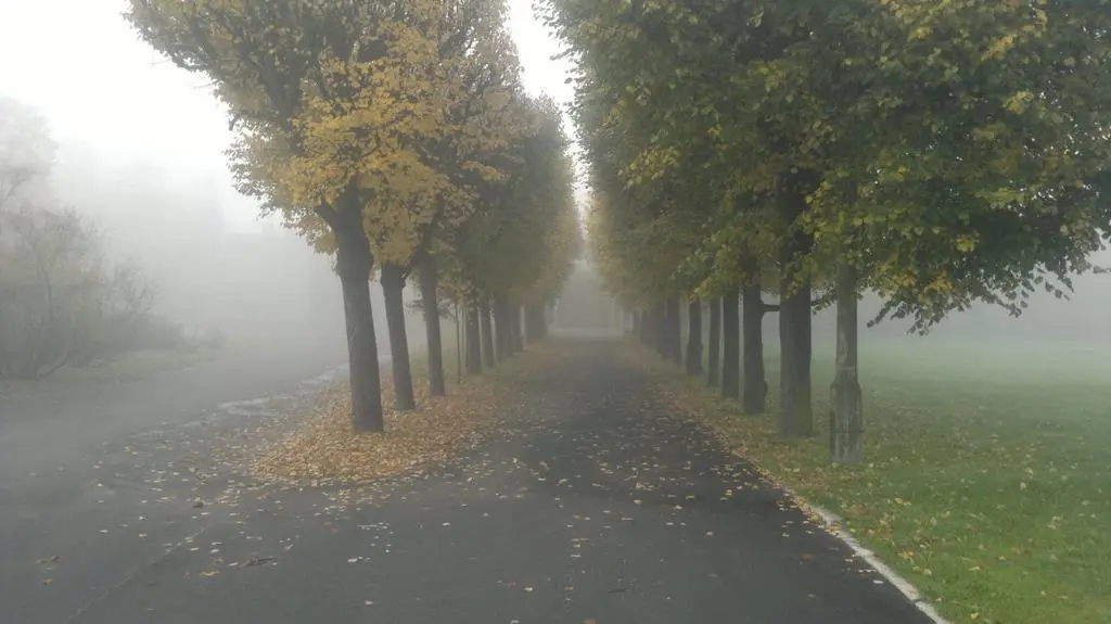 Kładka do zoo