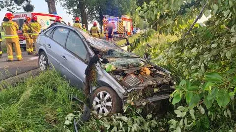 Czwórka nastolatków rozbiła się na drzewie. Za kierownicą 18-letnia dziewczyna