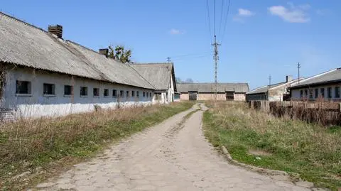 Nieruchomości rolne Skarbu Państwa pod lupą. NIK o "poddzierżawie omijającej ustawę"