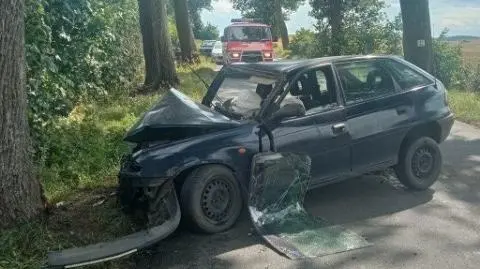 Samochód uderzył w drzewo. Ranna kobieta w ciąży i jej dwoje dzieci