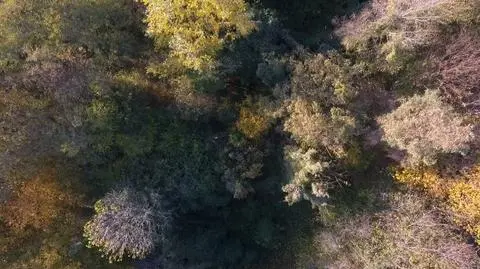 Poszukiwania mężczyzny w Sopocie