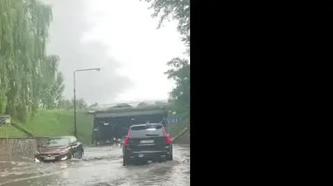 video-1626426856