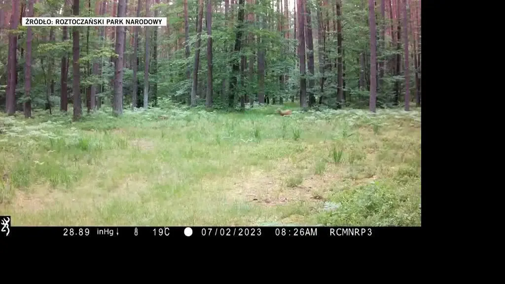 Roztoczański Park Narodowy