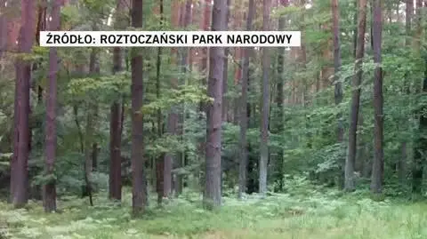 Roztoczański Park Narodowy