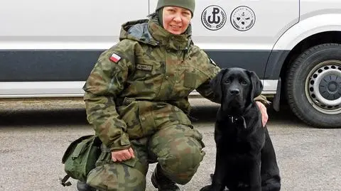 Pies ratowniczy z 2 Lubelskiej Brygady Obrony Terytorialnej