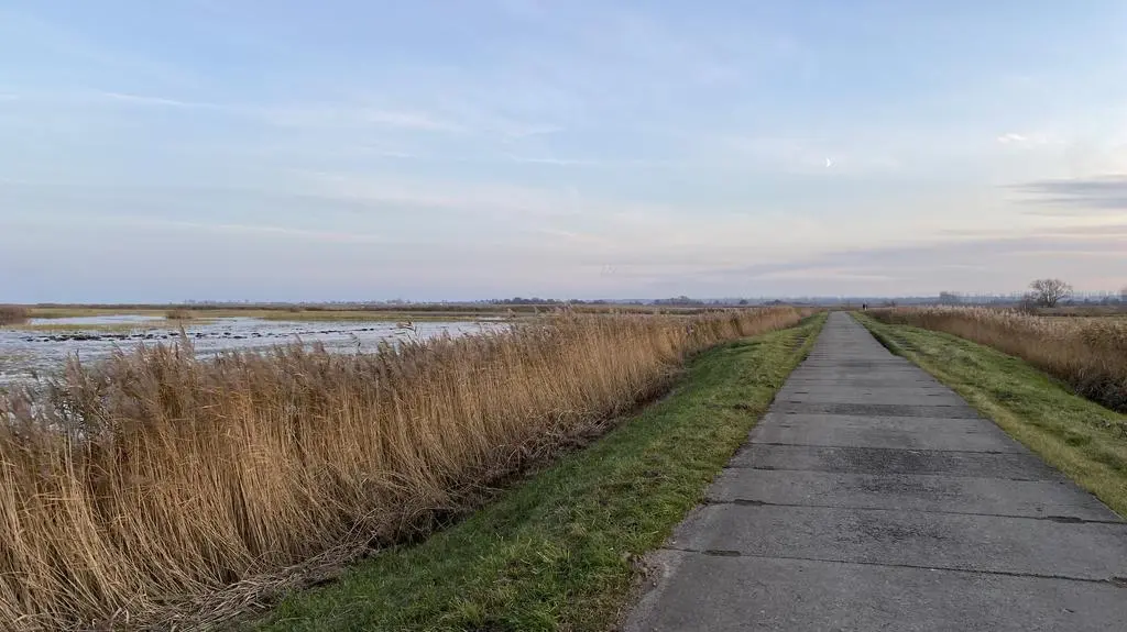 Rezerwat przyrody Beka
