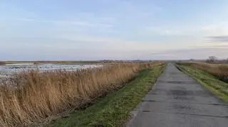 Rezerwat przyrody Beka